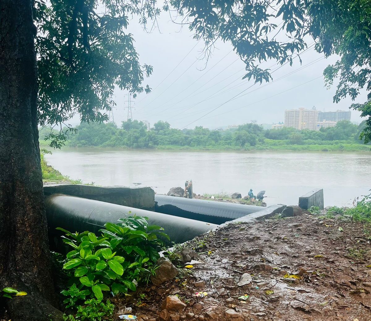 Whatsapp image 2025 07 29 at 9.05.11 am