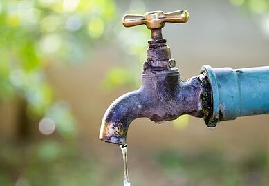 Whatsapp image 2026 01 23 at 9.00.51 am