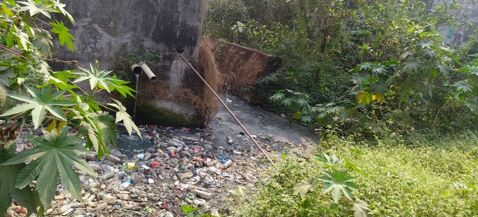 Whatsapp image 2026 02 01 at 10.25.05 am