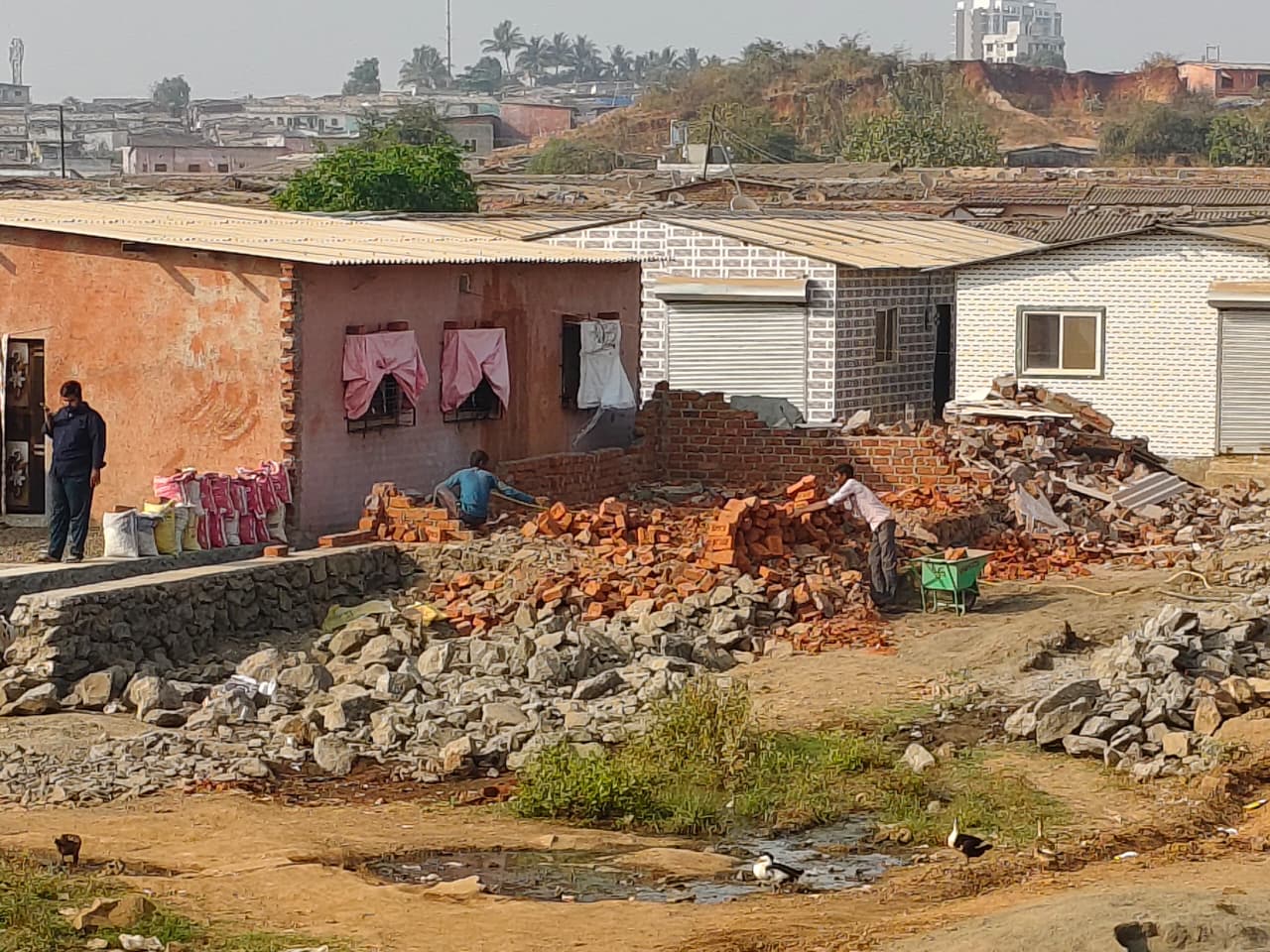 Whatsapp image 2026 02 17 at 2.30.38 pm